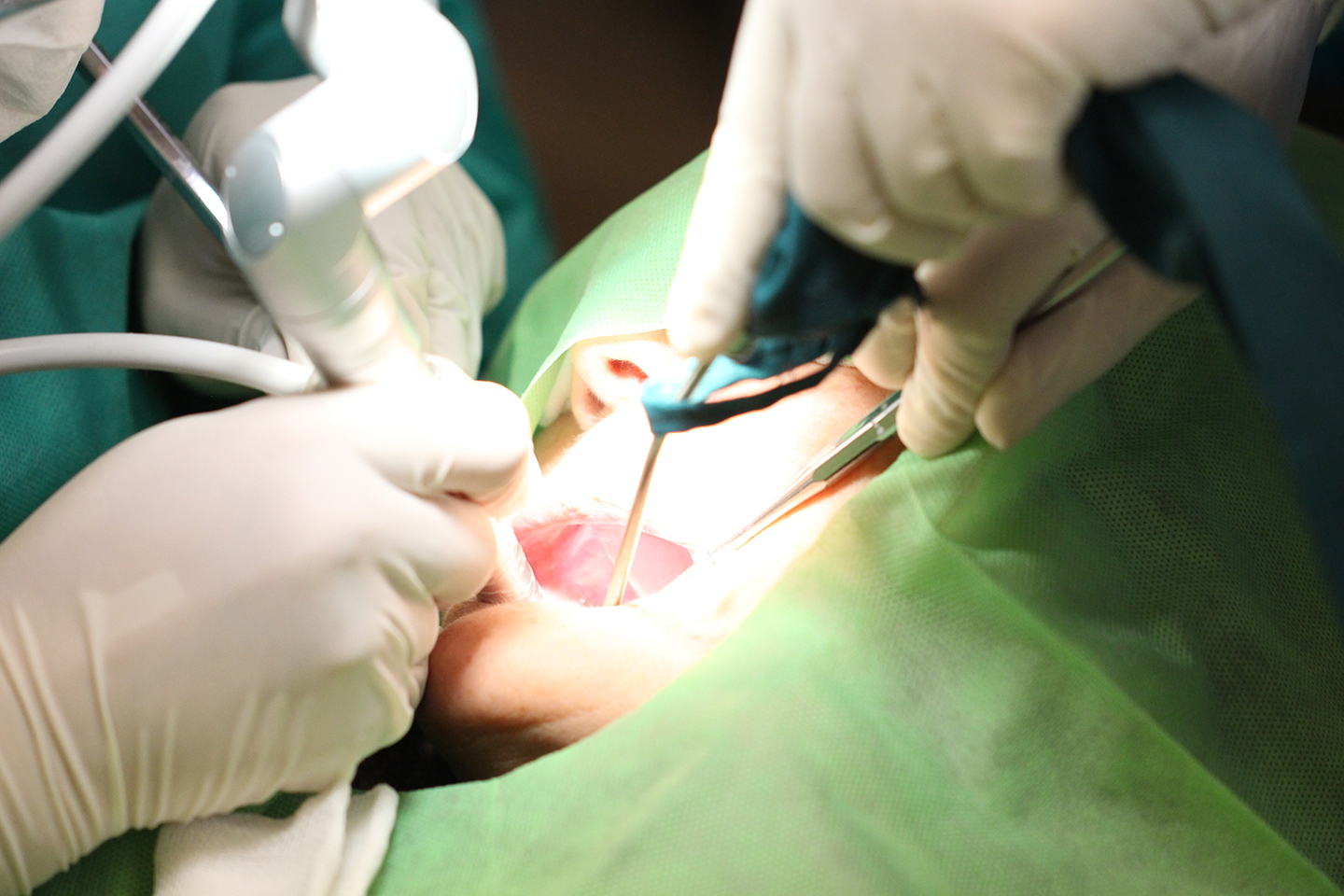 کلینیک تخصصی دندانپزشکی جهاددانشگاهی مشهد