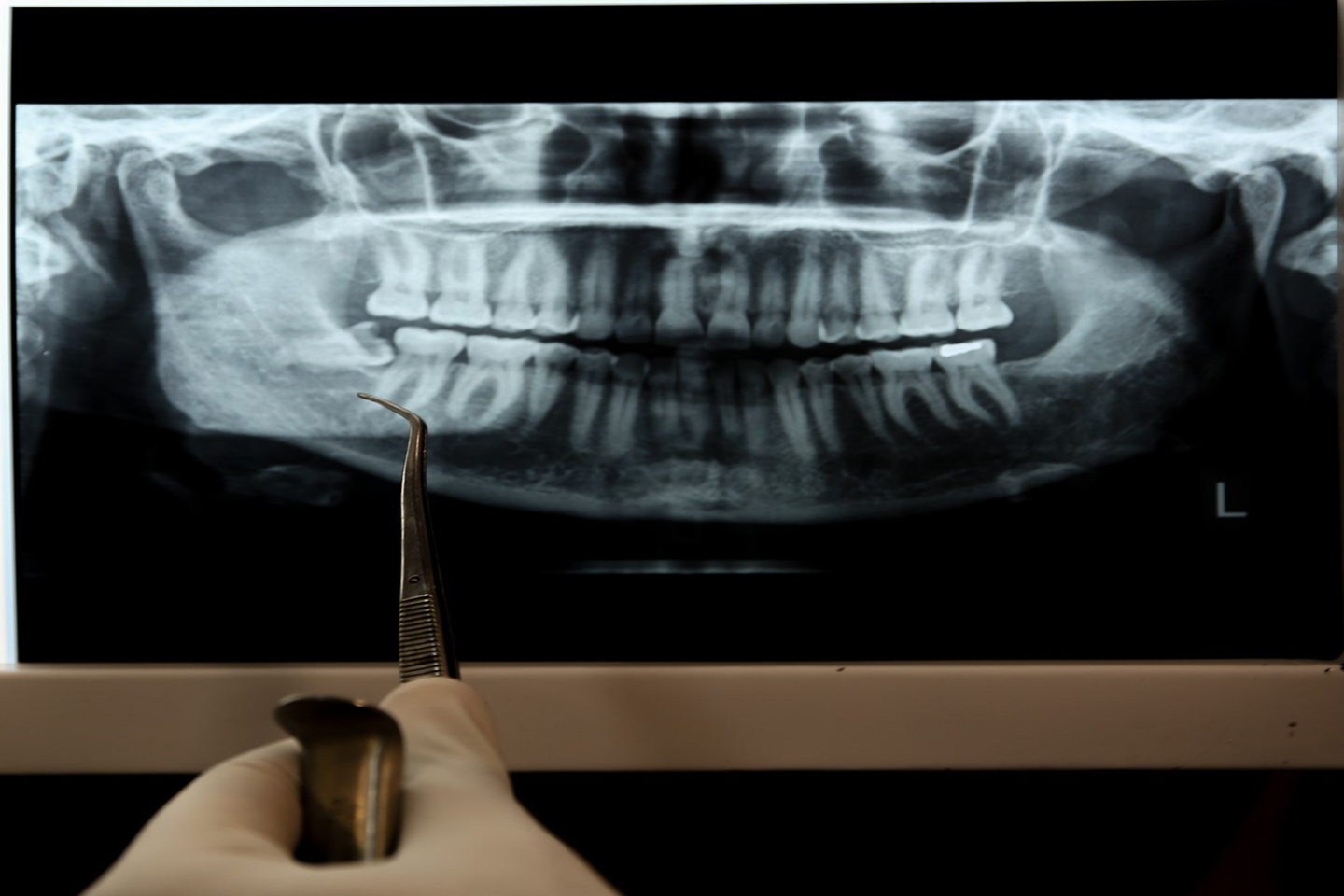 کلینیک تخصصی دندانپزشکی جهاددانشگاهی مشهد