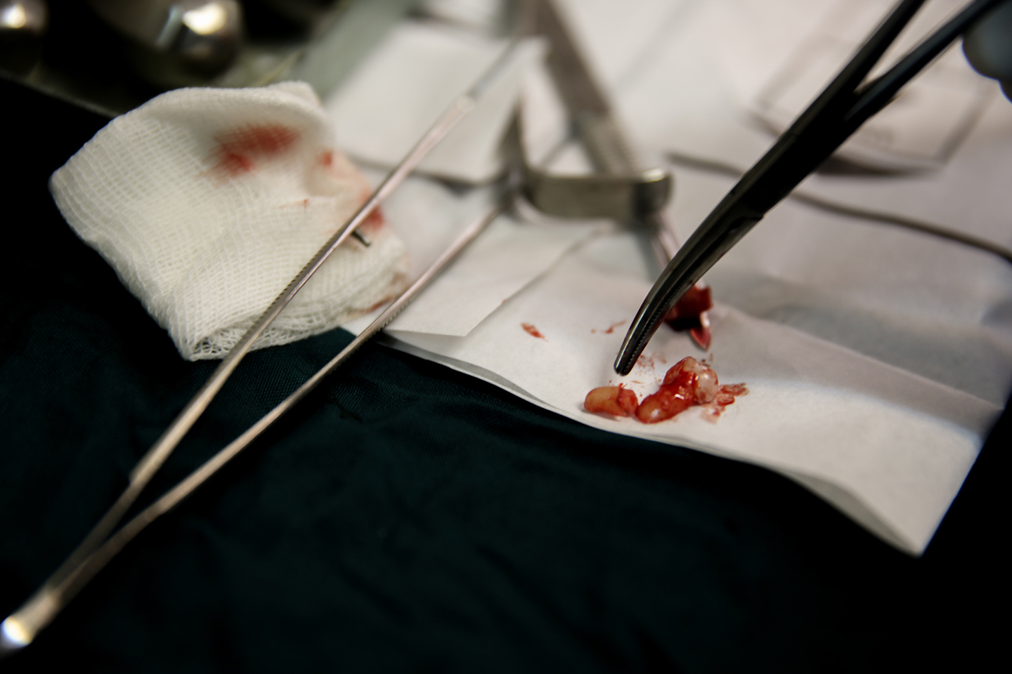 کلینیک تخصصی دندانپزشکی جهاددانشگاهی مشهد